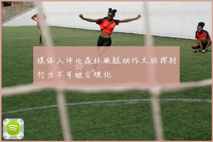 媒体人评论森林狼脏动作文班挥肘行为不可被合理化
